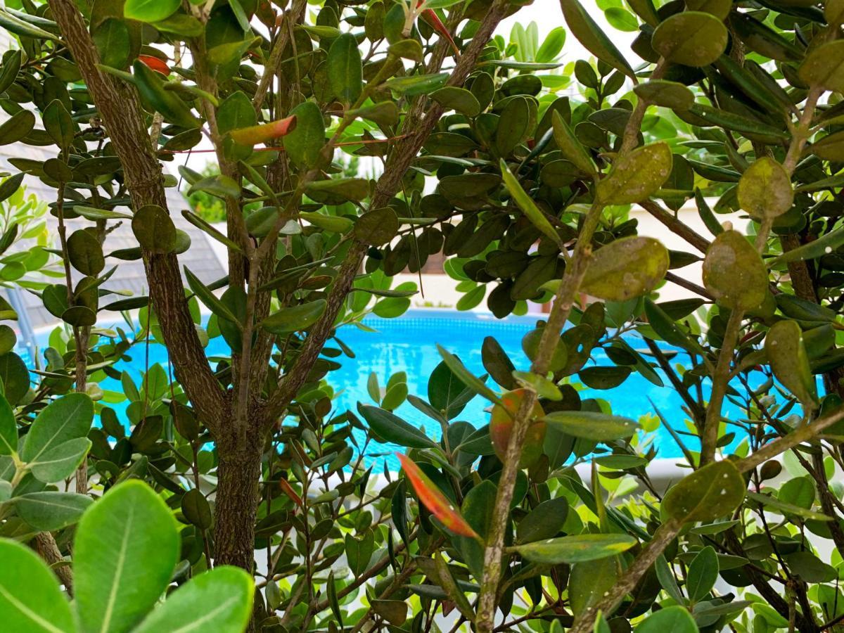 Beachliving Cabana Βίλα Esmoriz Εξωτερικό φωτογραφία
